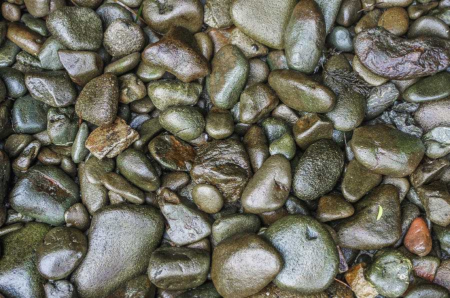 River Rock Background Photograph By Mike Fusaro
