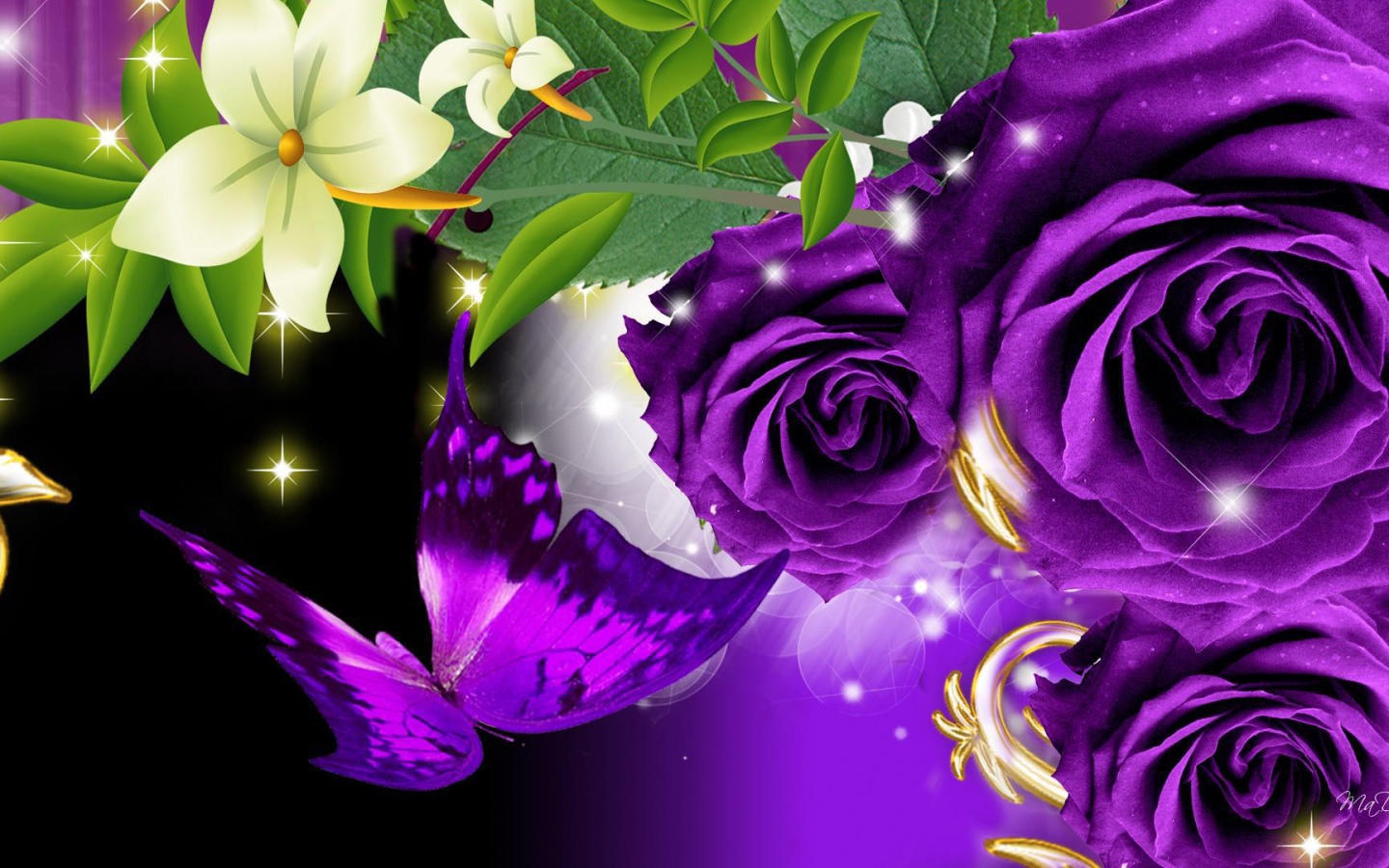 purple roses and butterfly on a black background desktop wallpapers