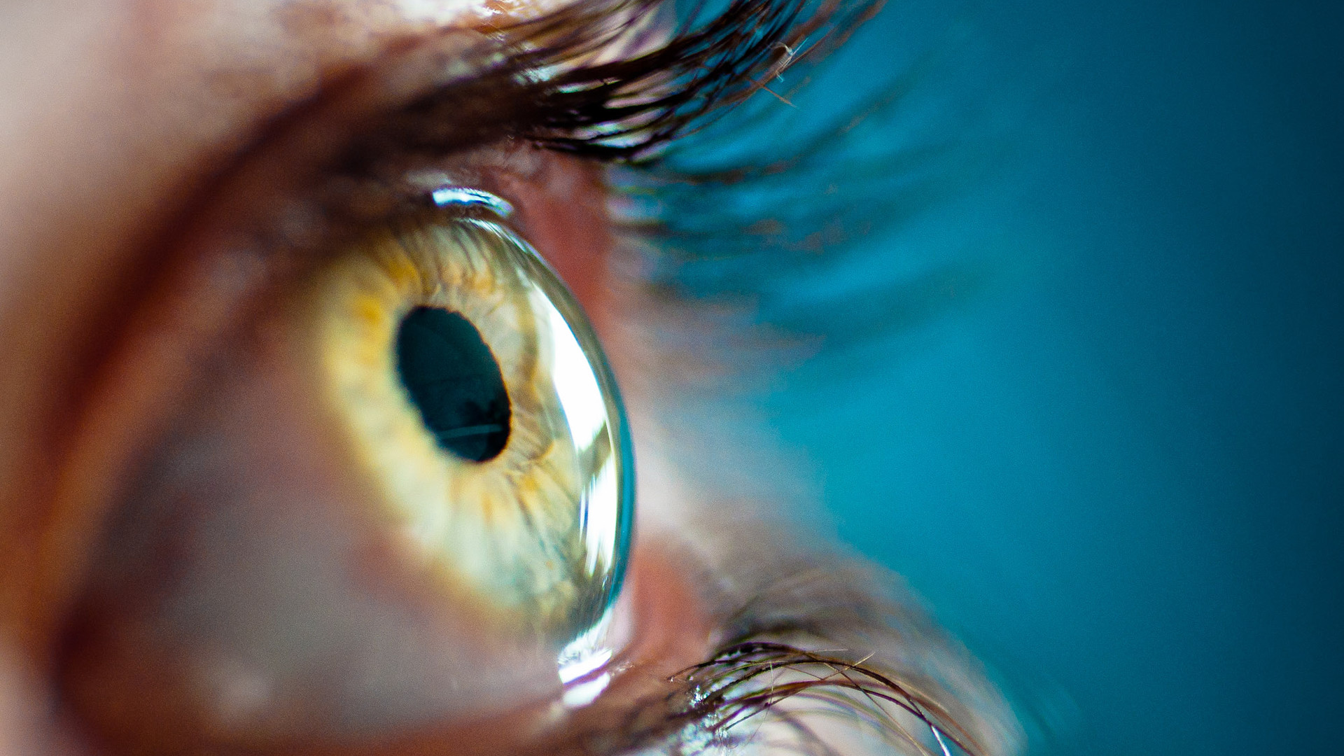 Eye Relaxing Wallpaper
