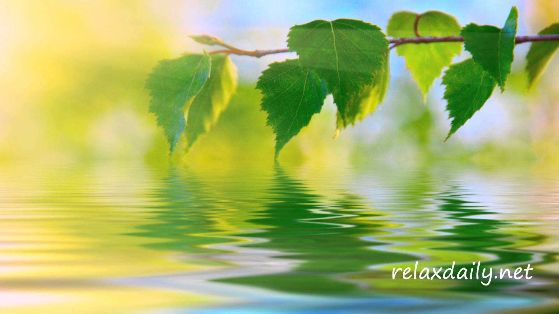 Calm Music   Slow Peaceful Background Music   relaxdaily N042