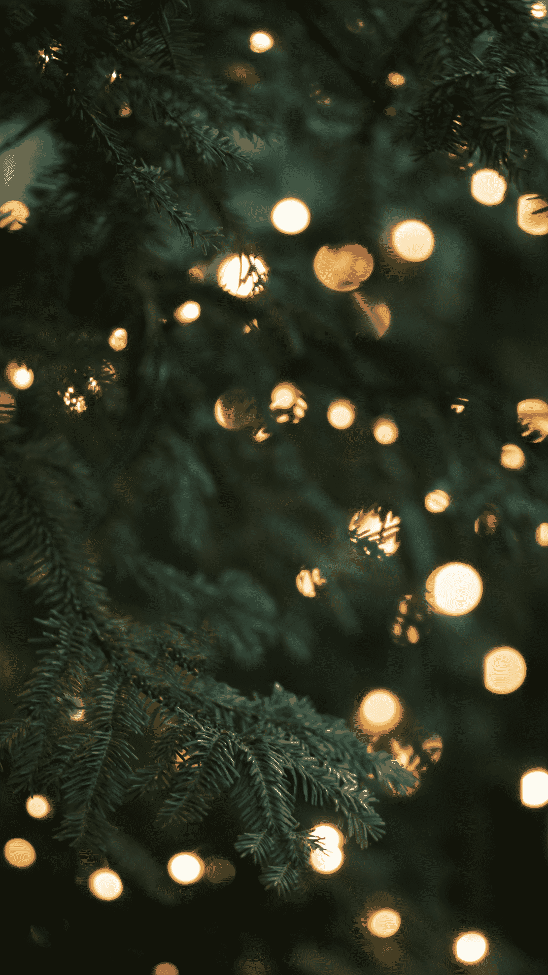Christmas Lights Aesthetic Wallpaper