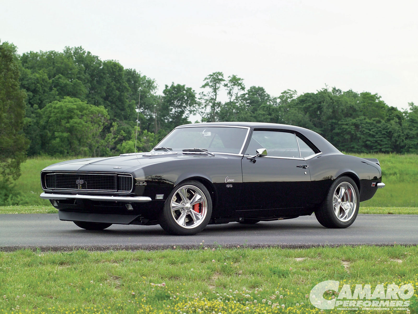 Chevy Camaro Ss Dark Brown Hairs