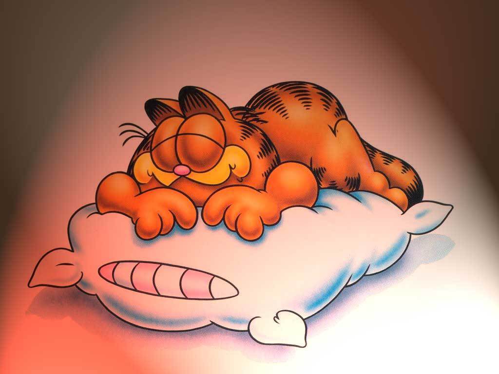 Garfield Image Wallpaper HD And Background Photos
