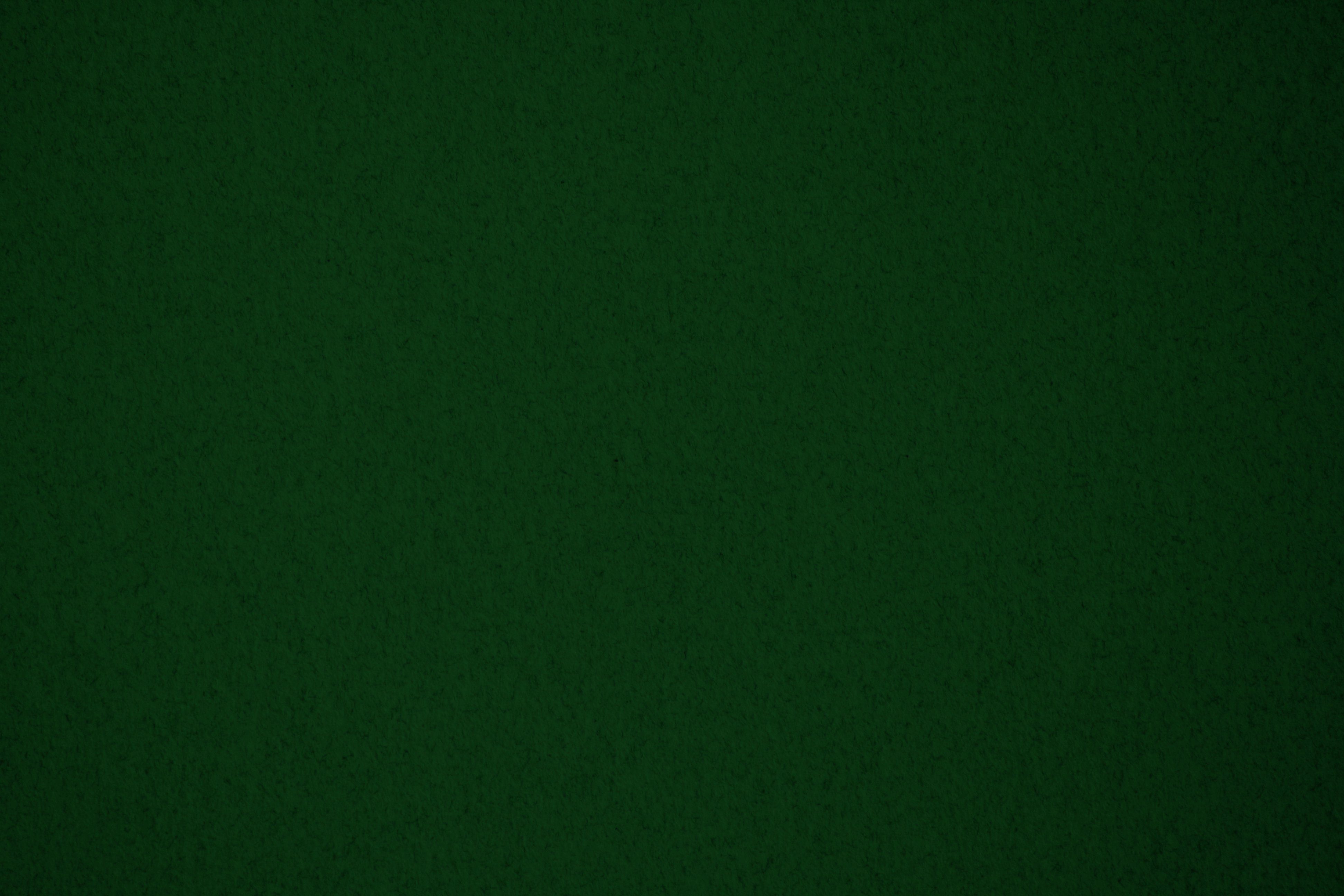 Solid Forest Green Wallpaper