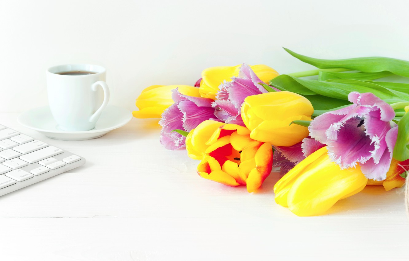 Wallpaper Flowers Coffee Spring Colorful Tulips Fresh Wood