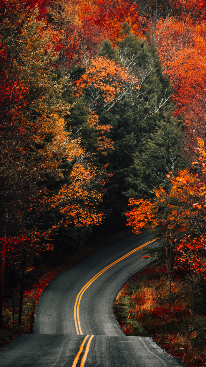 Autumn Phone Wallpaper
