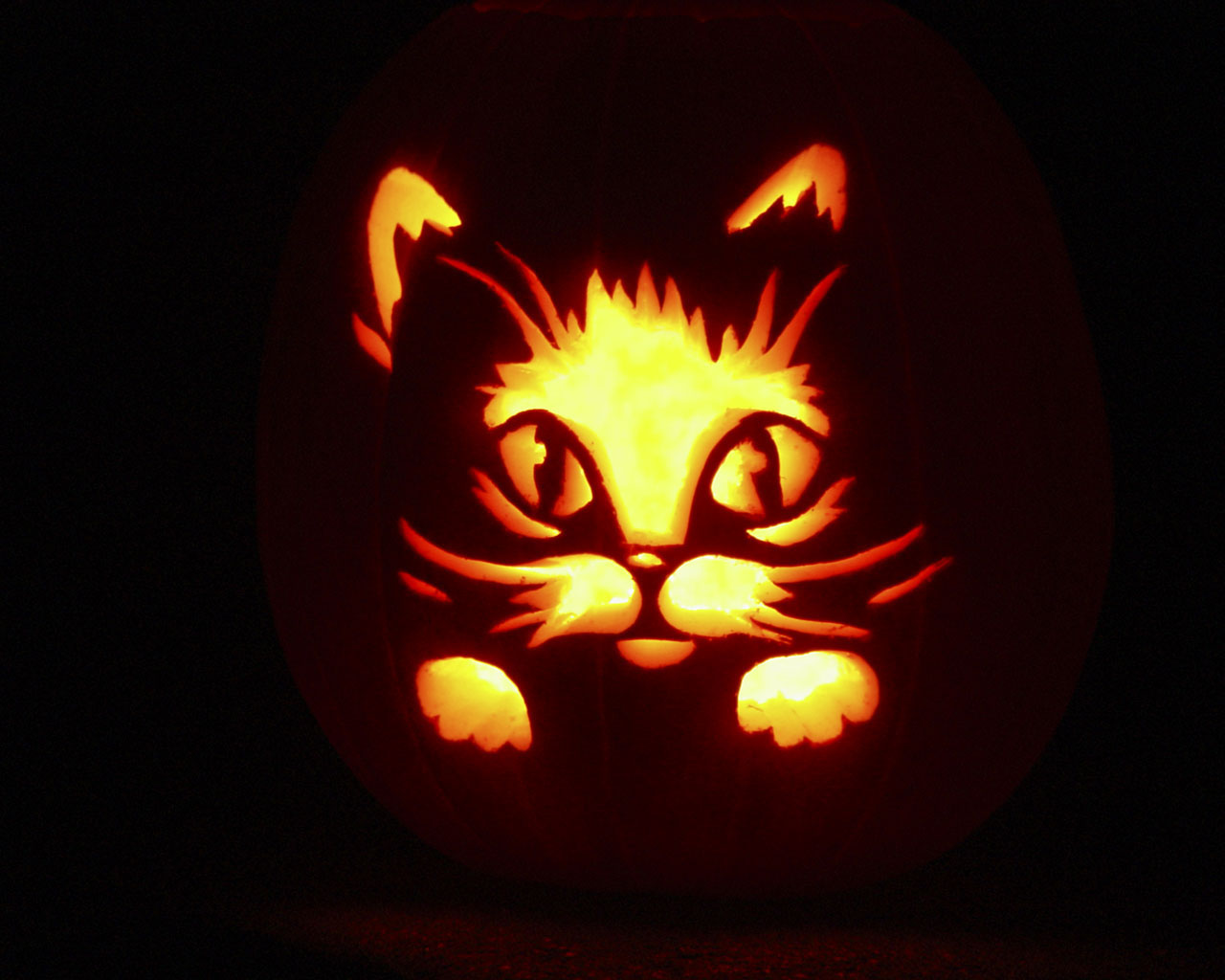 Halloween Cat Background