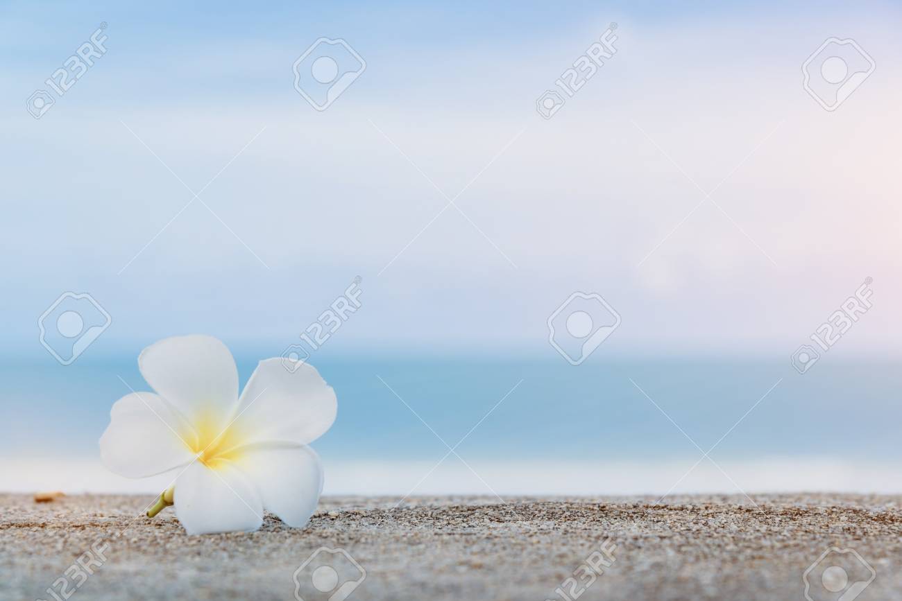 Beautiful Nature Sea Summer Lonely Background Stock Photo Picture