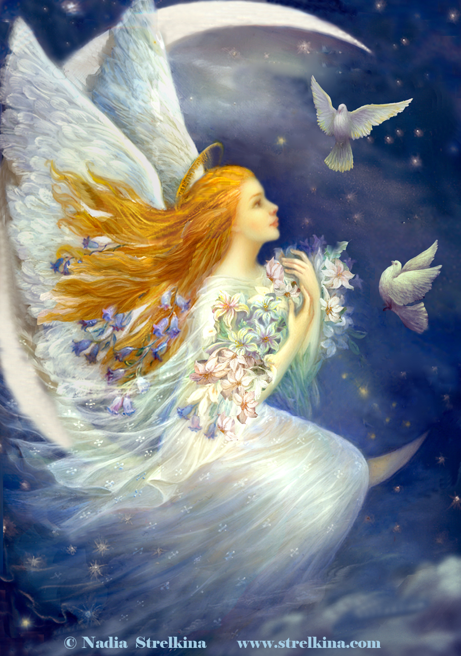Angel Fairies Wallpaper Wallpapersafari