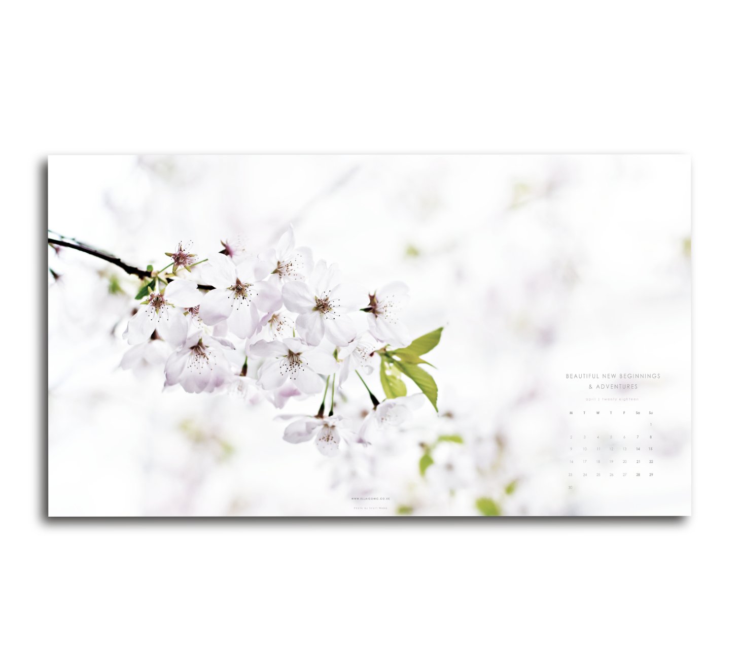 Hello Spring April Desktop Wallpaper I Ella Iconic
