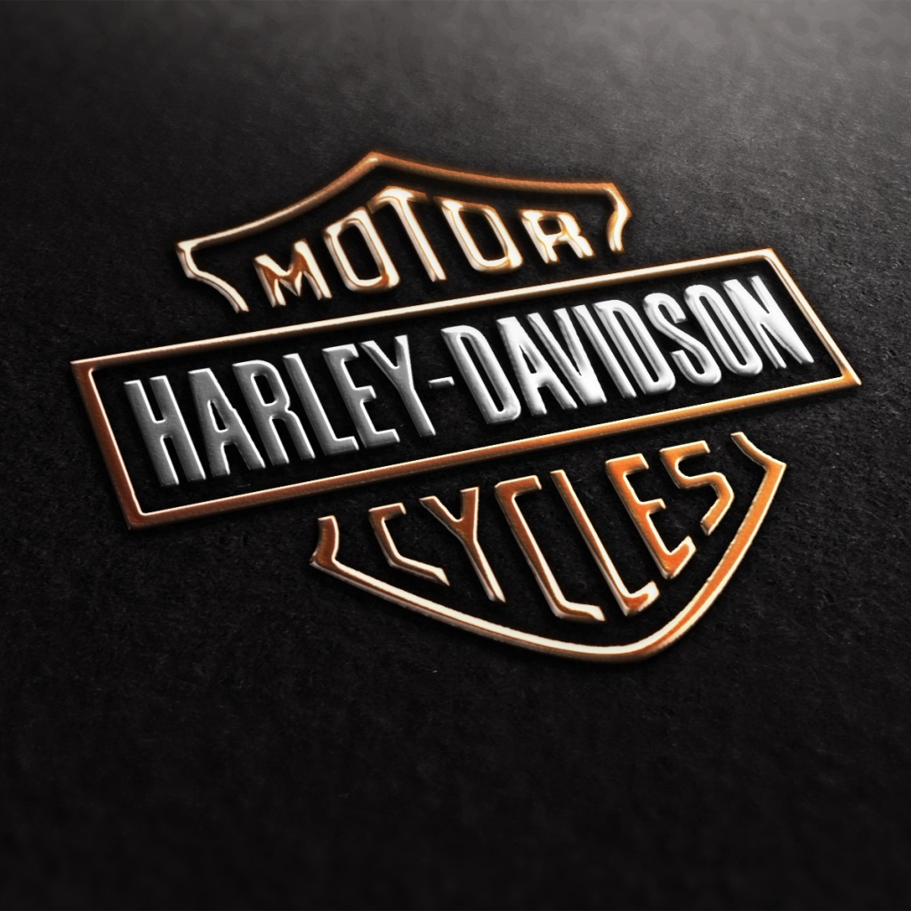 1024x1024 Harley Davidson Logo desktop PC and Mac wallpaper