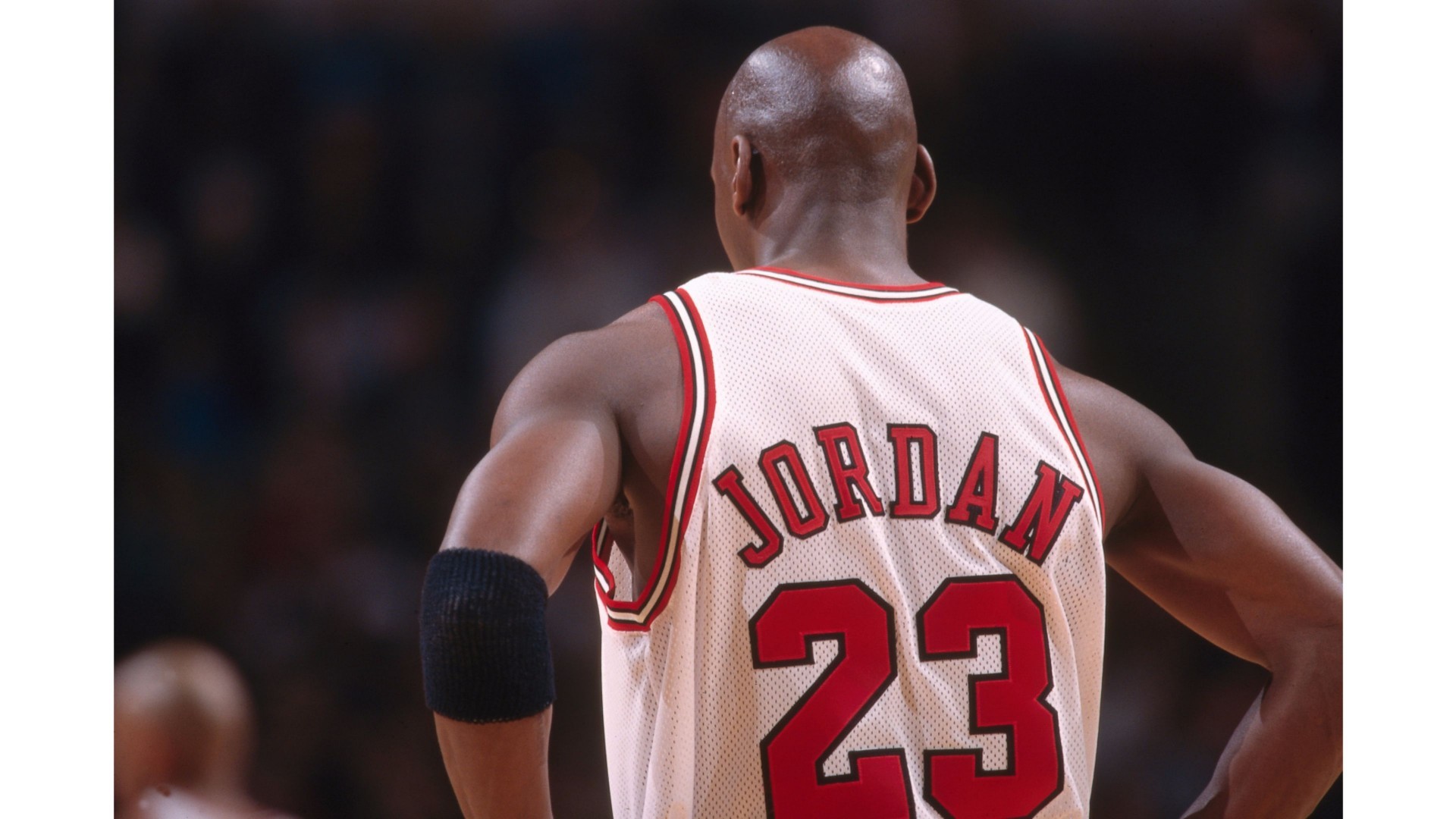Michael Jordan, number 23 of the Chicago Bulls, seen from the back during an NBA game