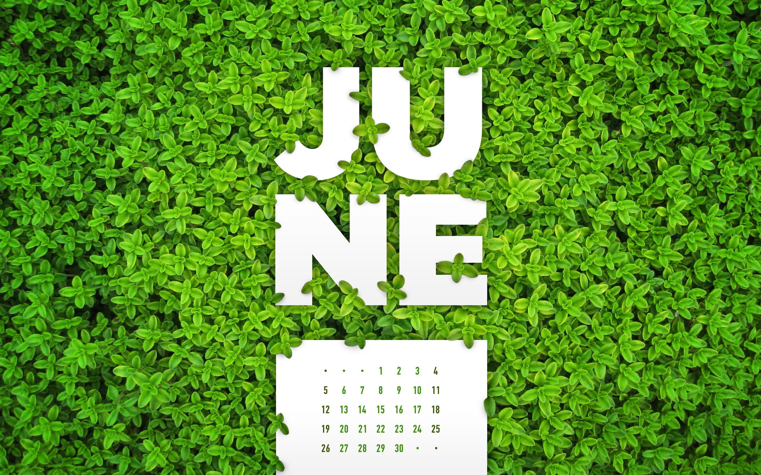 June Desktop Calendar Wallpaper Paper Leaf