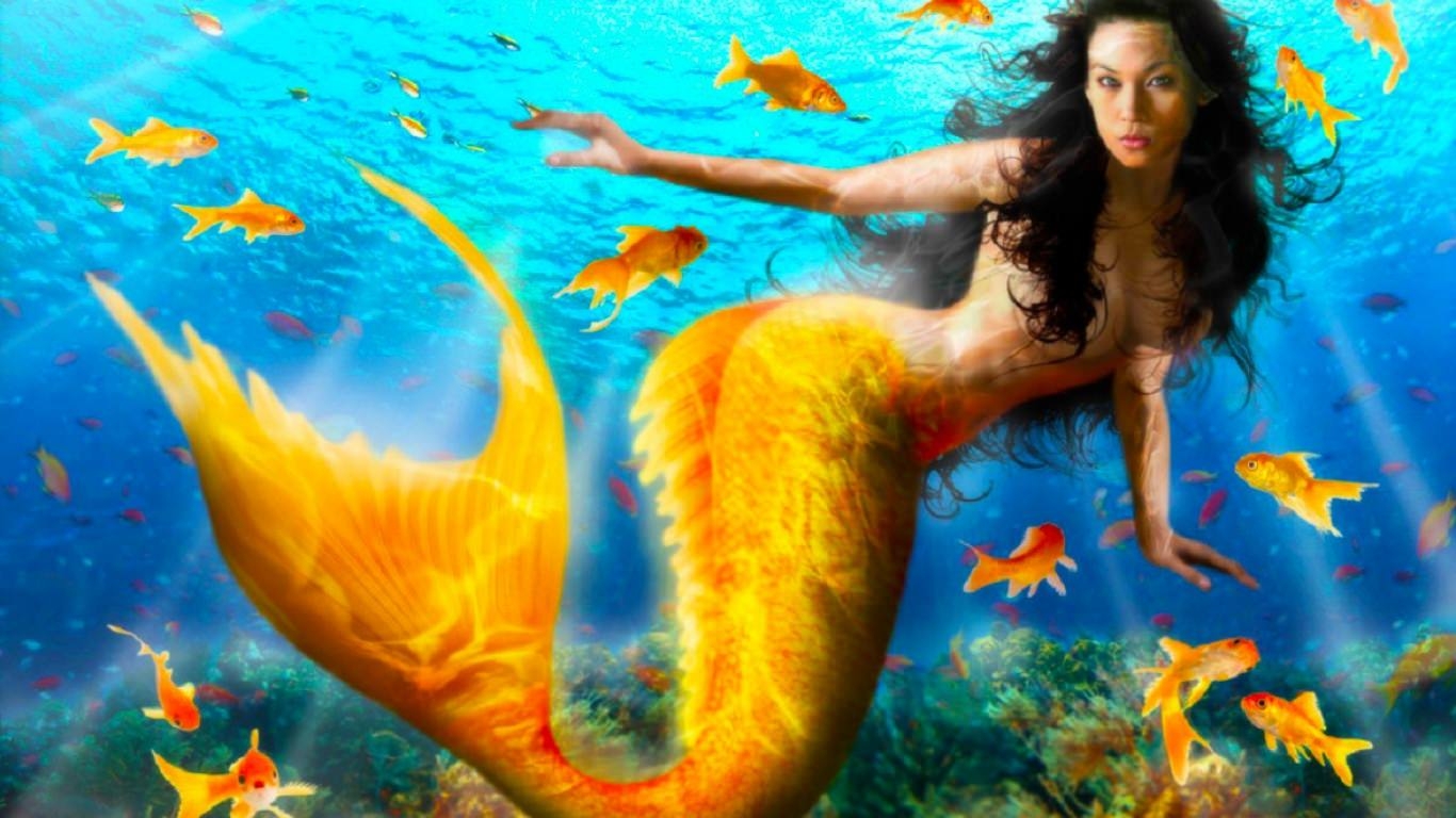 Mermaid Wallpaper Fish Background Pictures Image