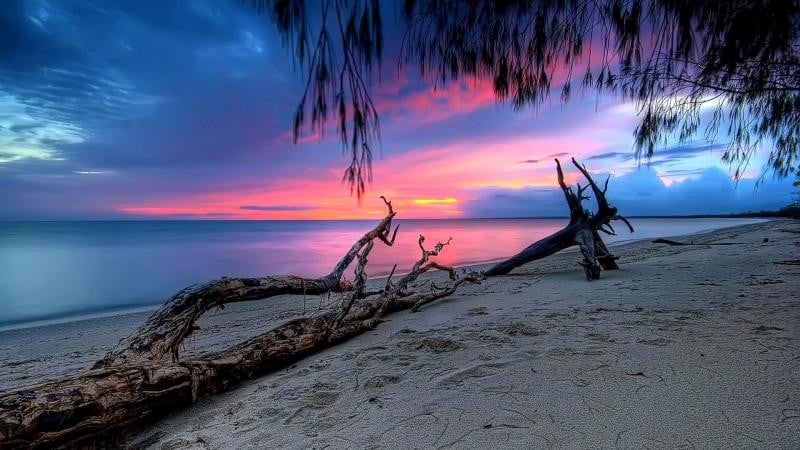 name pink sunset on the beach hd wallpapers description download pink