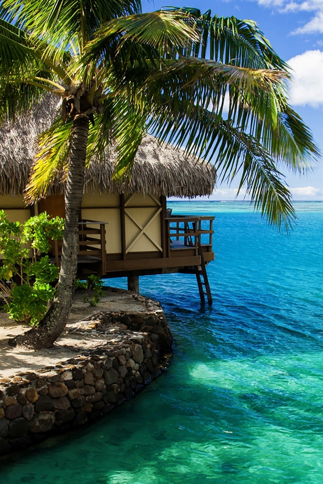 Maldives Hut Palm Tree Sea Water iPhone Wallpaper