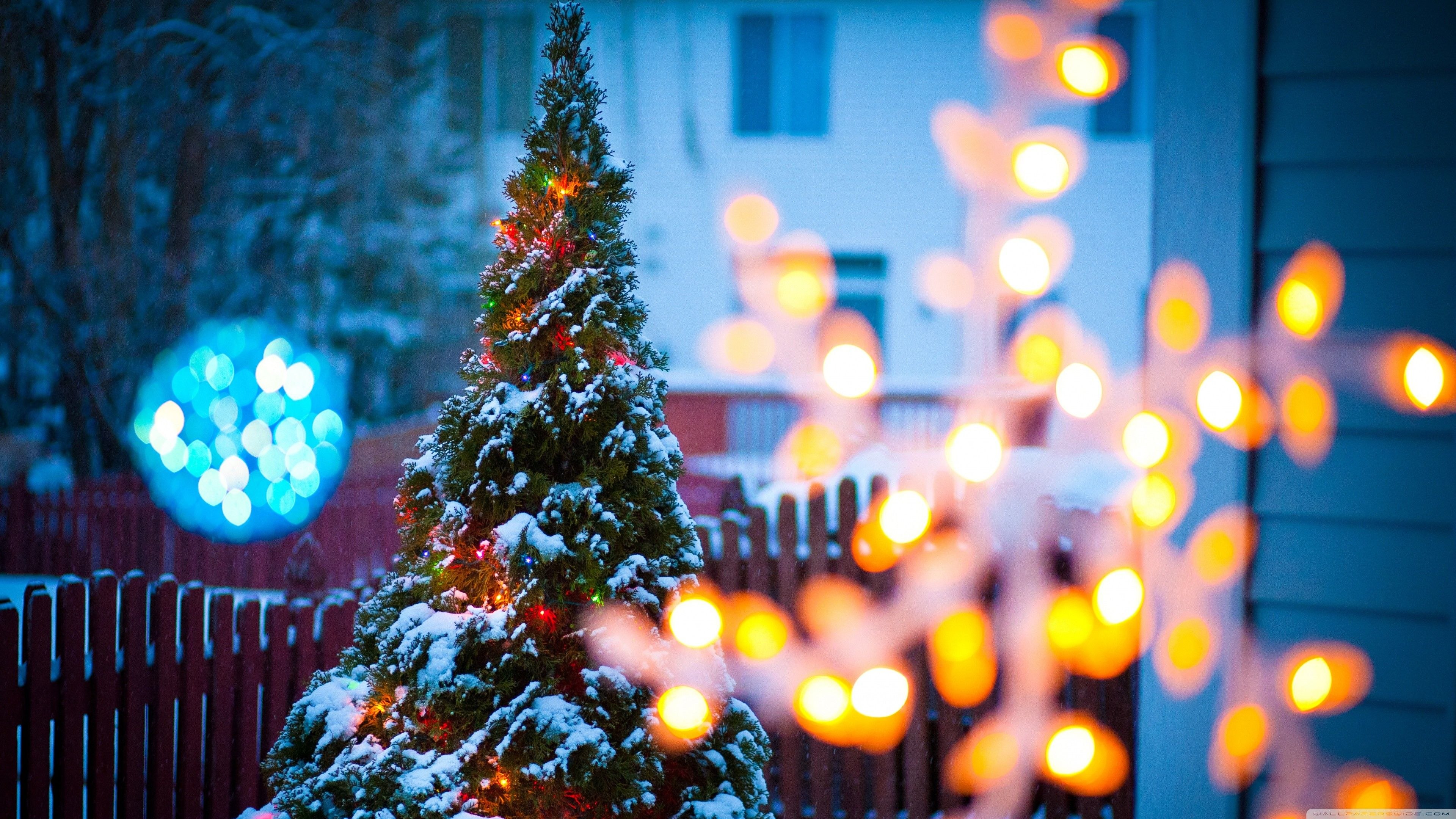 A snow-dusted Christmas tree adorned with colorful lights, stands in a front yard, with a blurred background featuring a bokeh effect from more festive lights