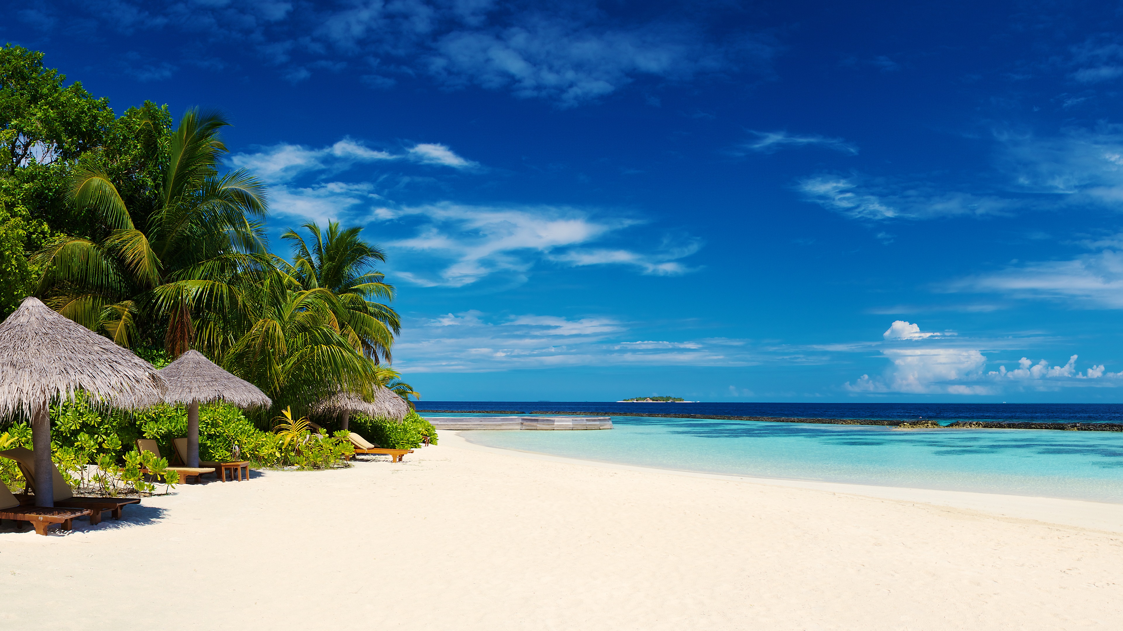 Beach Palm Trees 4k Desktop Wallpaper Uploaded By Desktopwalls