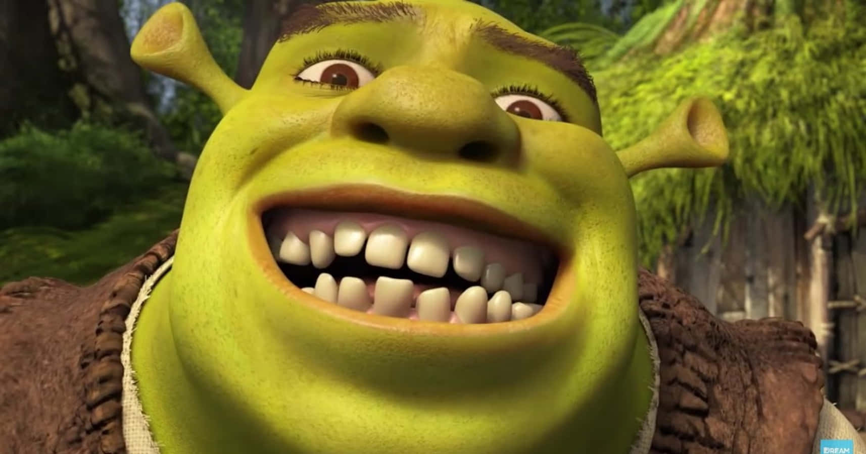 Shrek Wallpaper 4k Meme