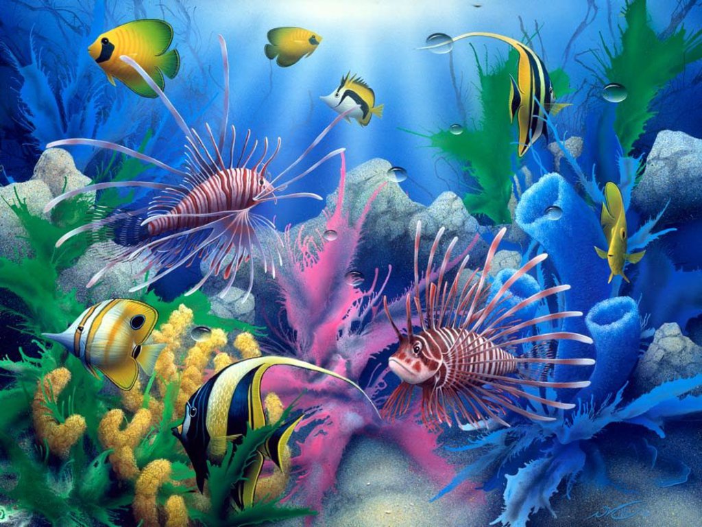 Under Ocean Wallpaper HD