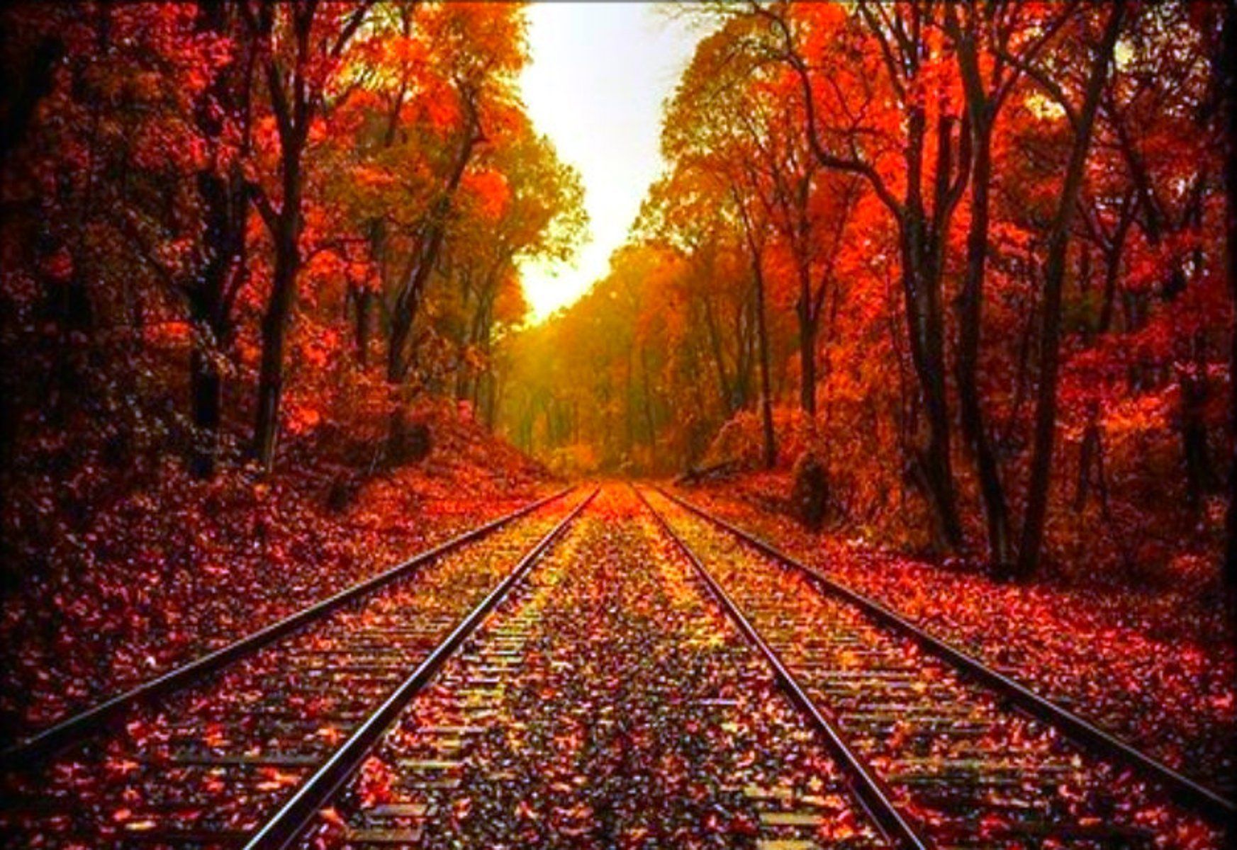 beautiful fall scenery wallpaper