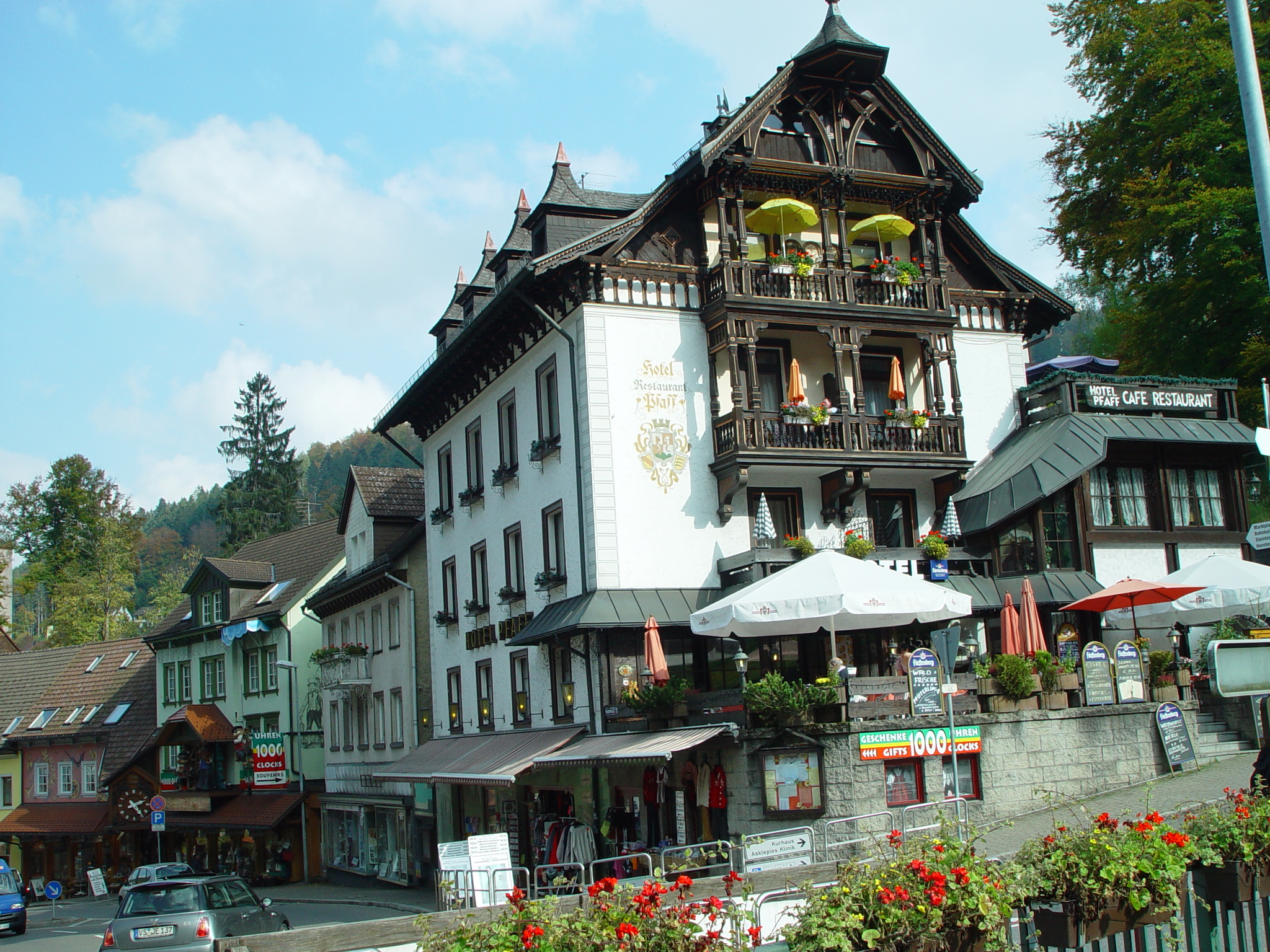 hotels in germany black forest