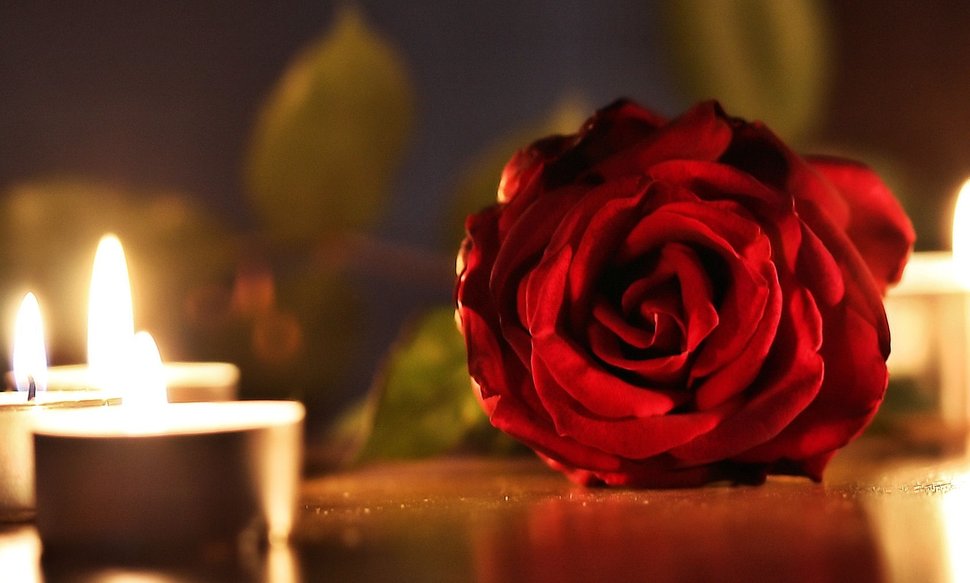 Candles And Rose Wallpaper