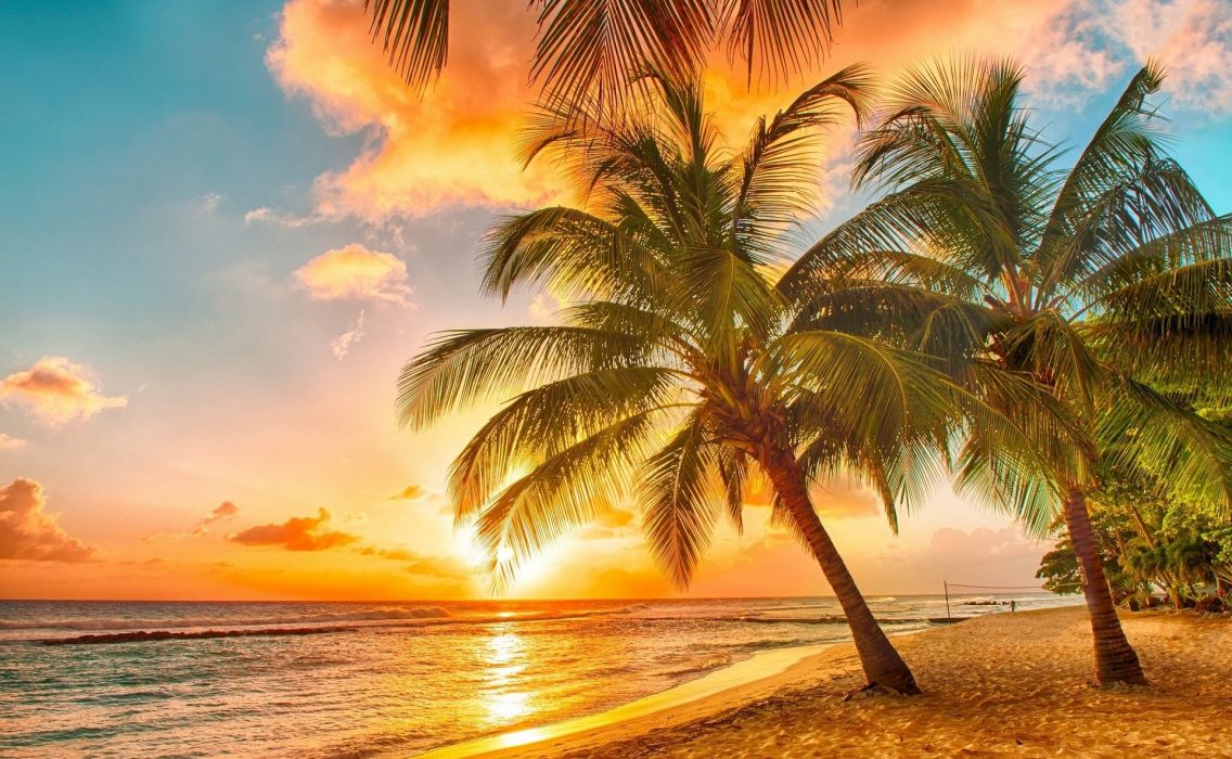 Beach Palm Trees Tropical Sunset Wallpaper