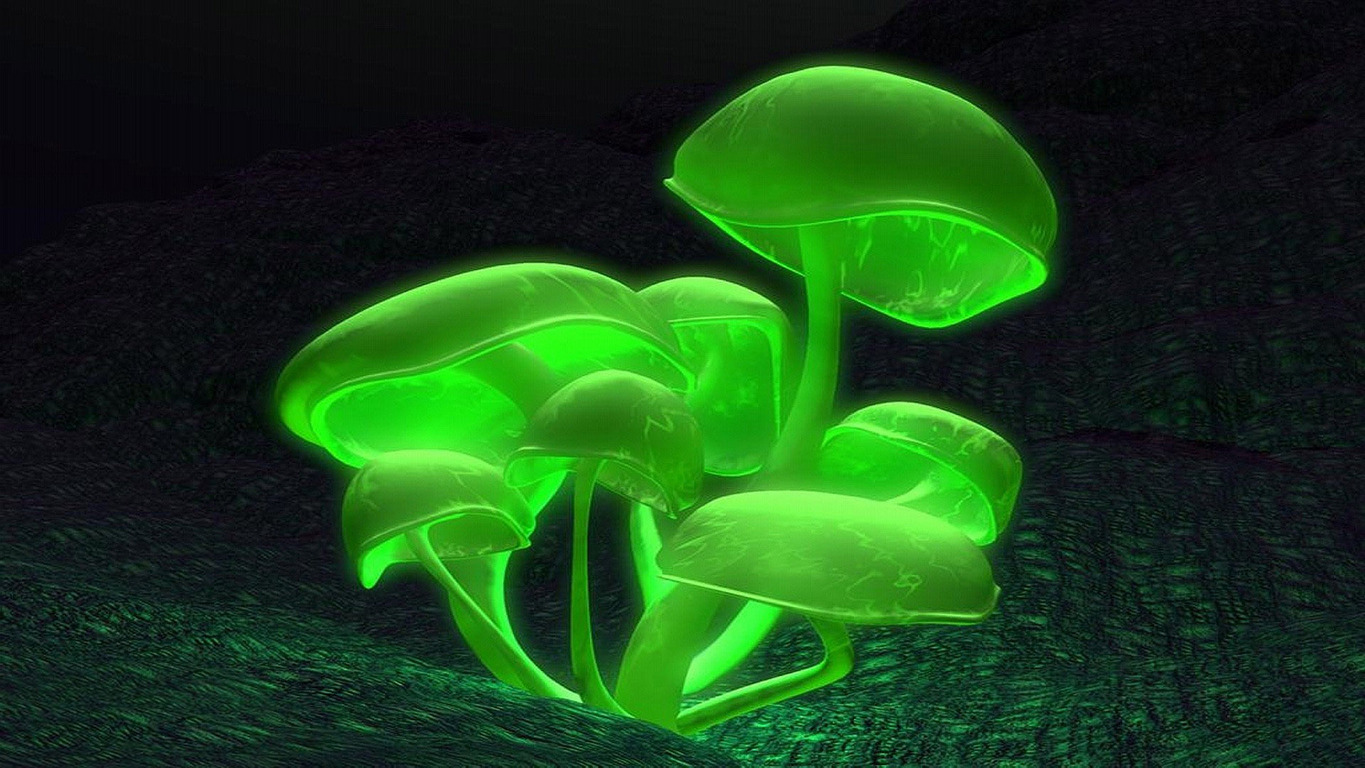 Glowing Green Mushrooms Wallpaper