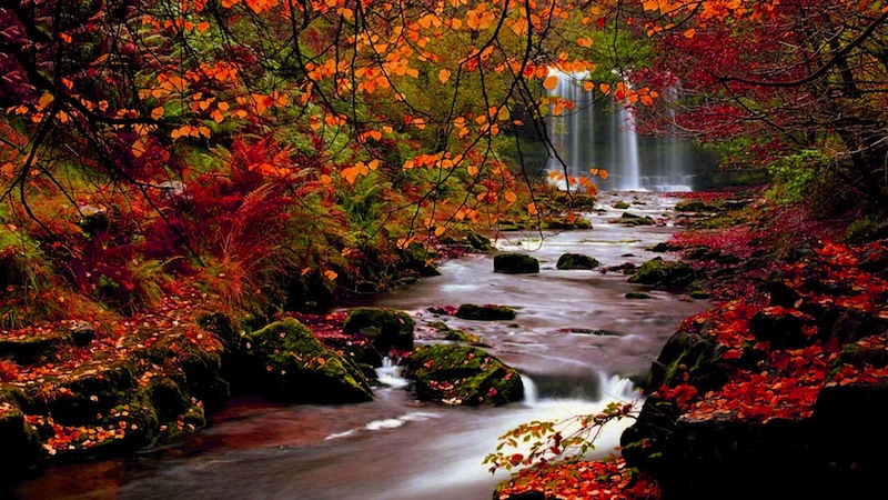 Nature Landscapes Hd Wallpaper For Autumn Falls