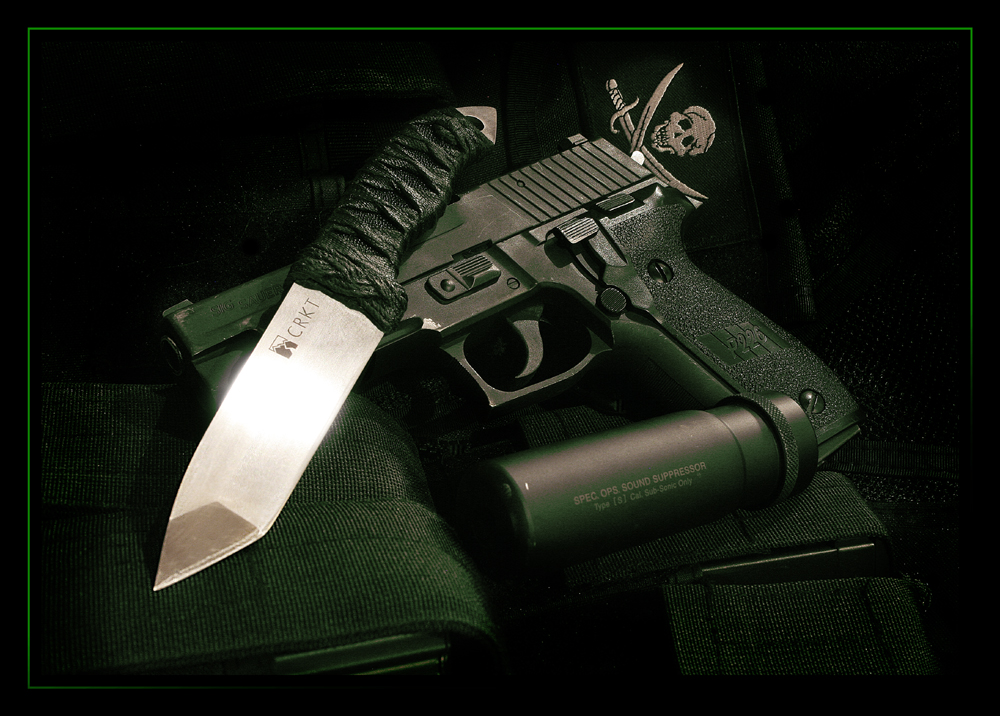 Sig Sauer p226 By Capt Morgan