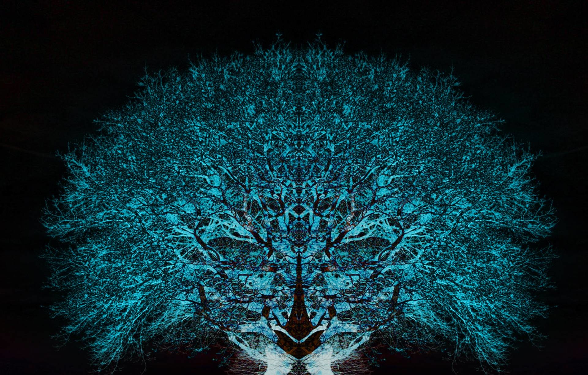 4k Psychedelic Wallpaper