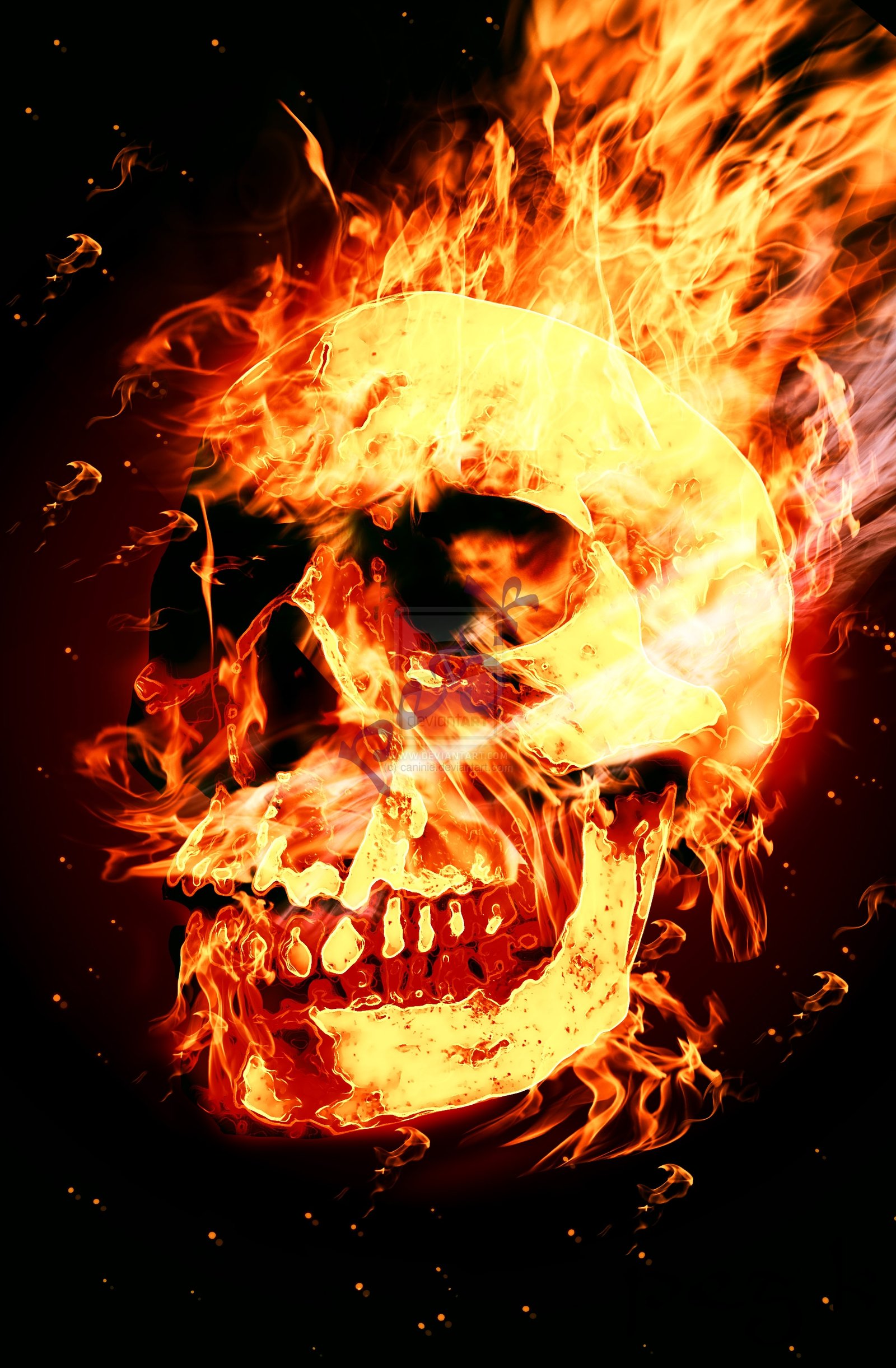 Fire Skull Pics Wallpaper HD Background