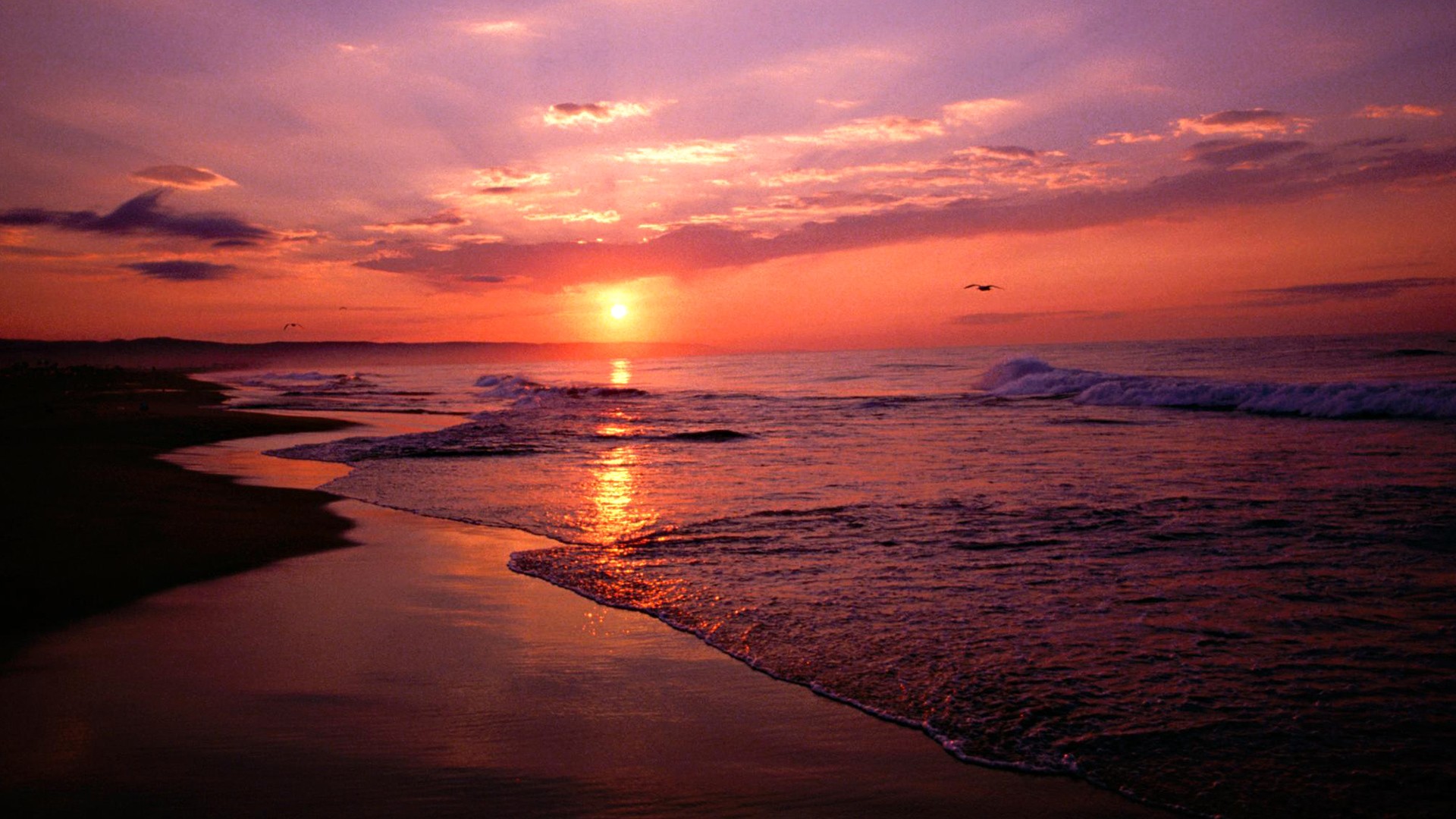 Sunset Beach Wallpaper Wallpoper