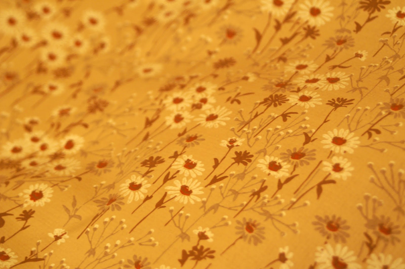 Behr Paint Zoom Background