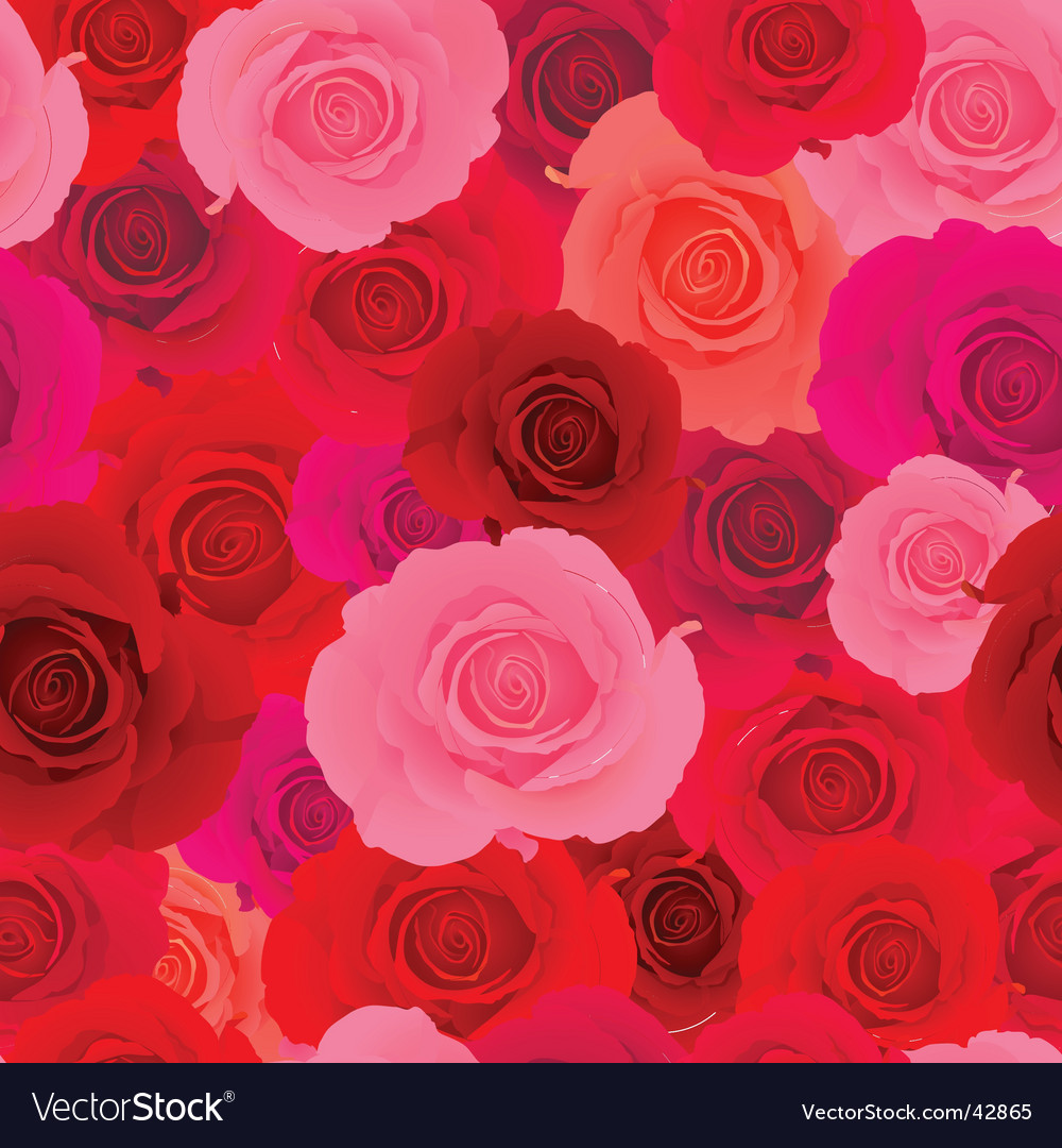 Rose Wallpaper Pattern Royalty Vector Image