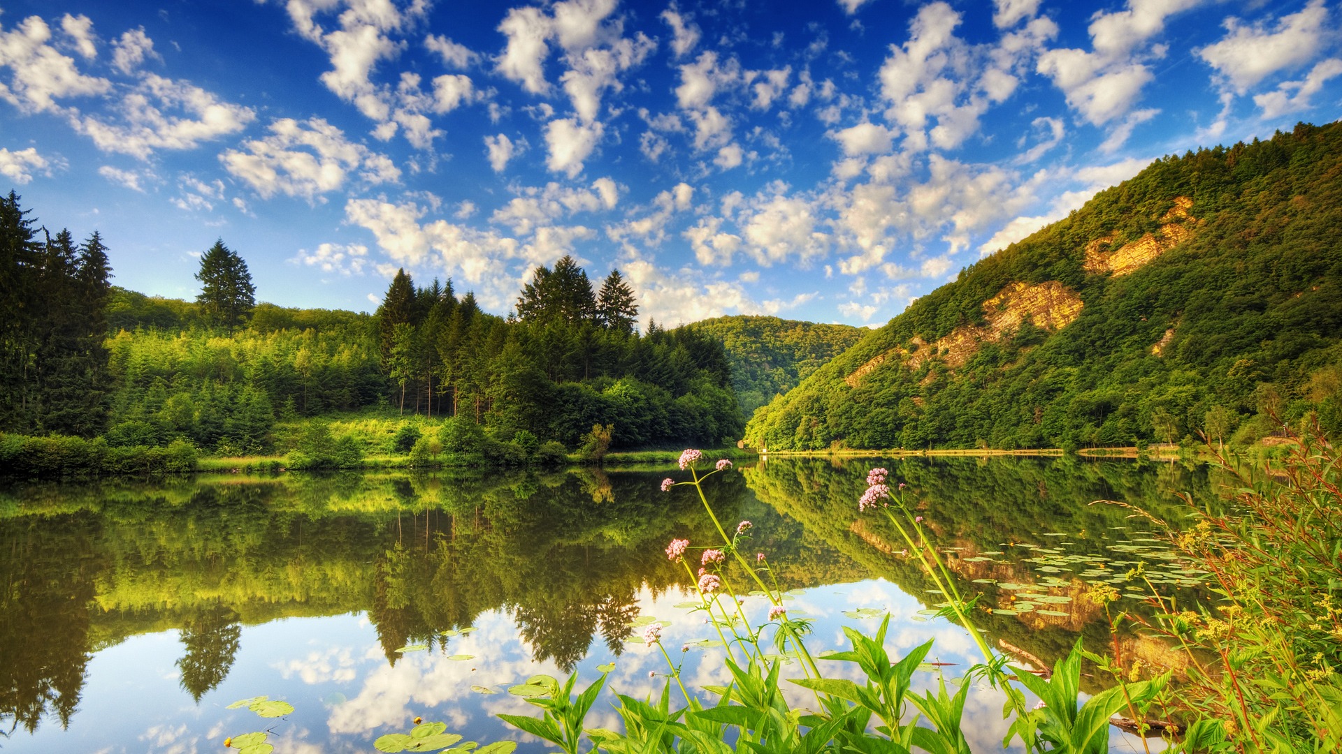 Landscape Wallpaper HD