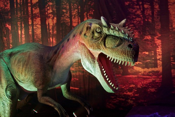 Allosaurus Dinosaur Wallpaper Click Picture For High Resolution HD