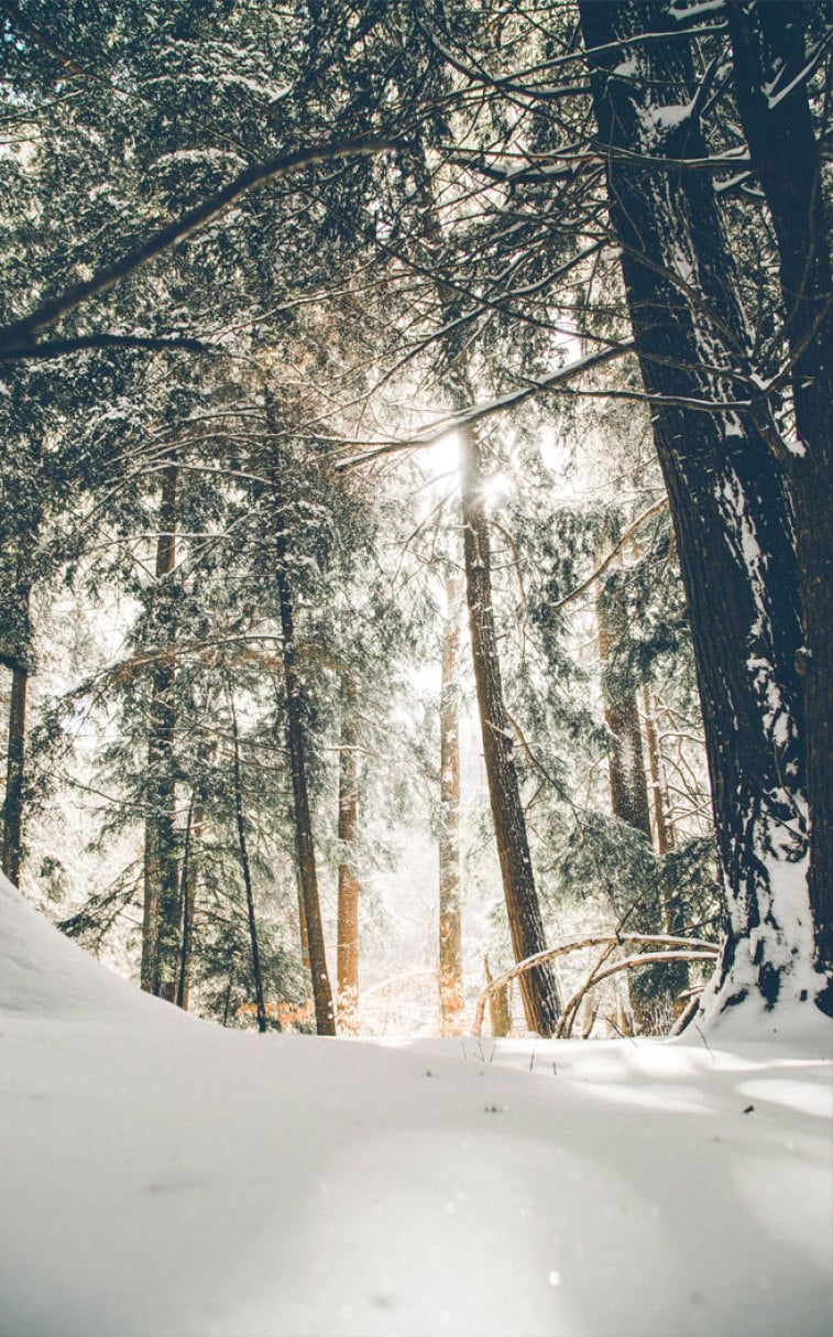 Beautiful winter wonderland   Idea Wallpapers iPhone Wallpapers