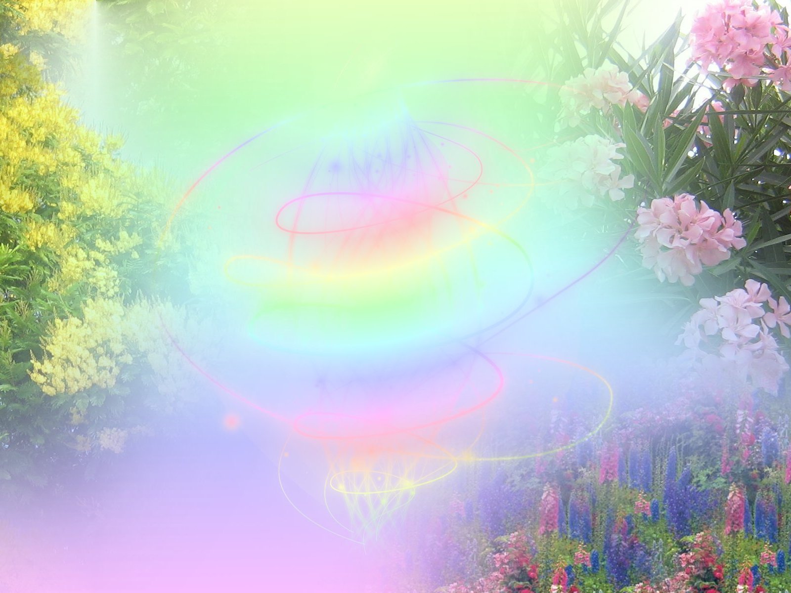 Spring Wallpaper
