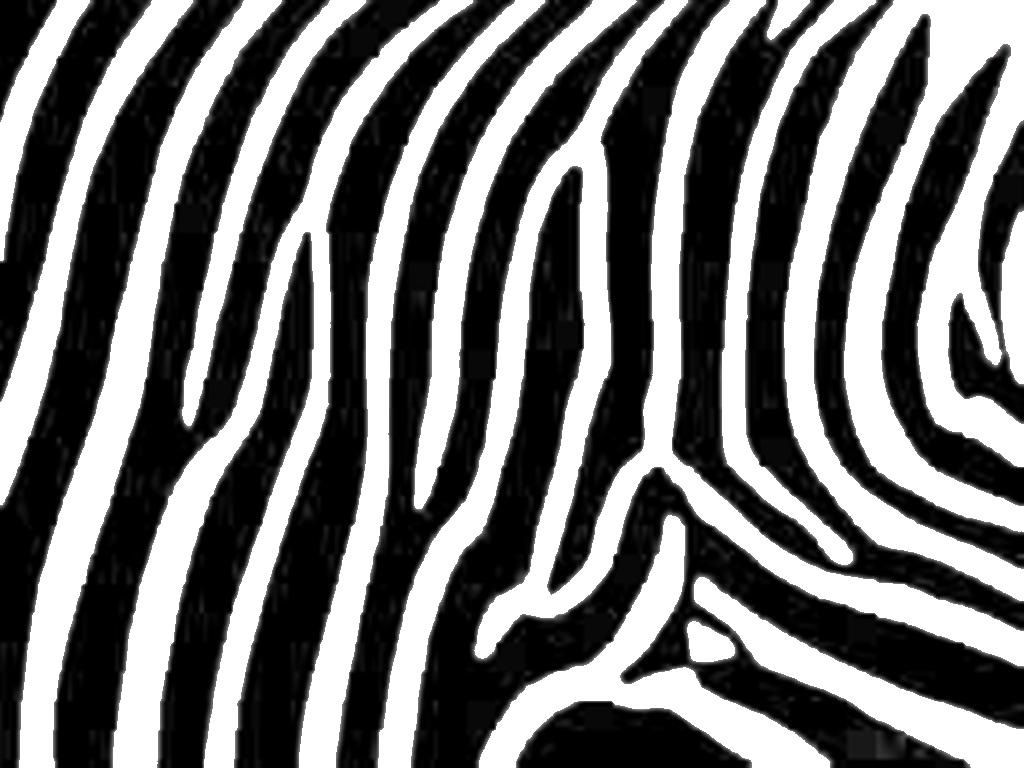 Wallpaper Zebra Print