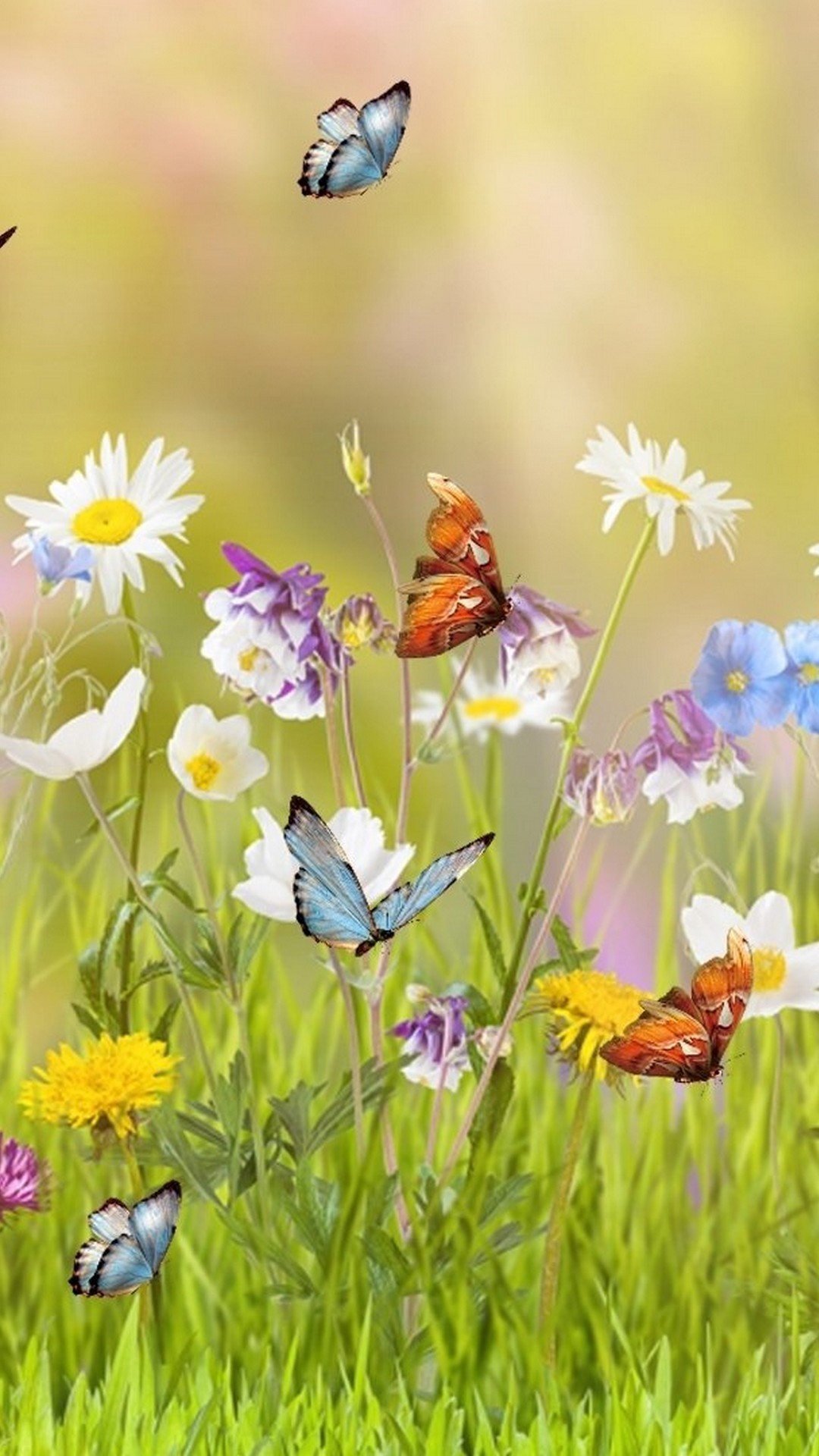 Beautiful Spring Wallpaper