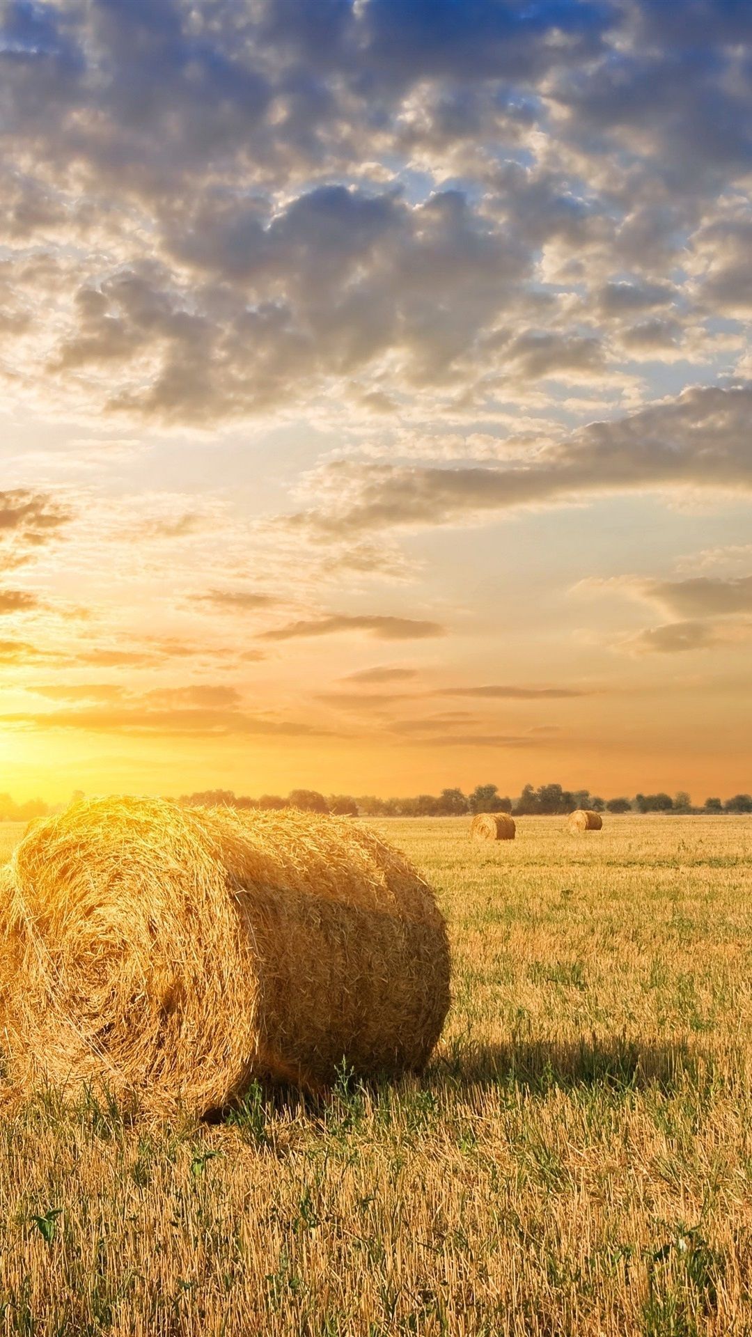 Farm Wallpaper On
