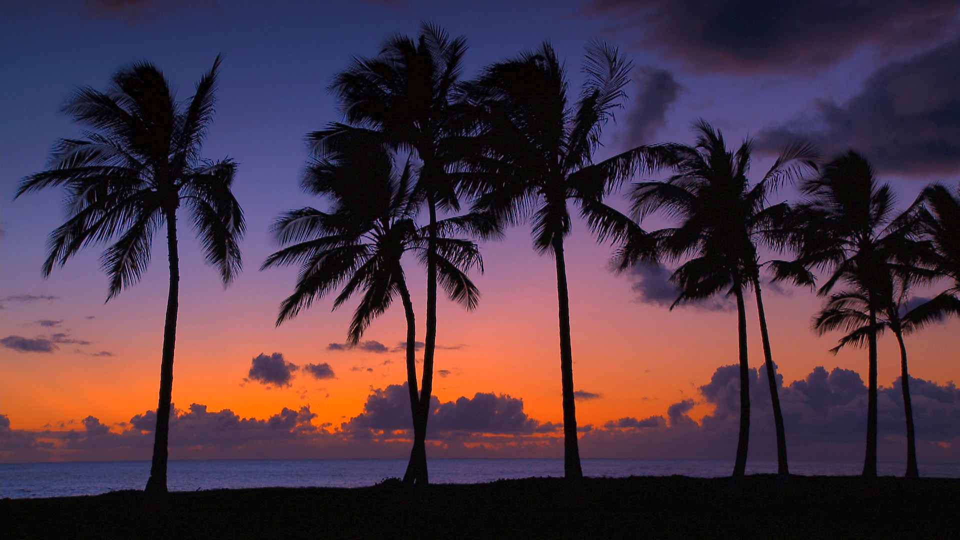Hawaii Beaches Scenic Background Webshots Media Beautiful Wallpaper