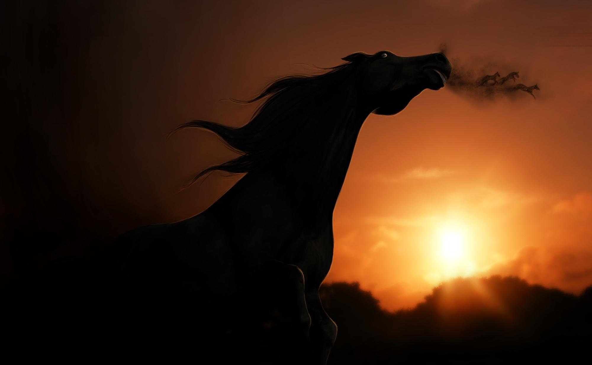 Sunset Horse Rendering Shadow Wallpaper HD Desktop And