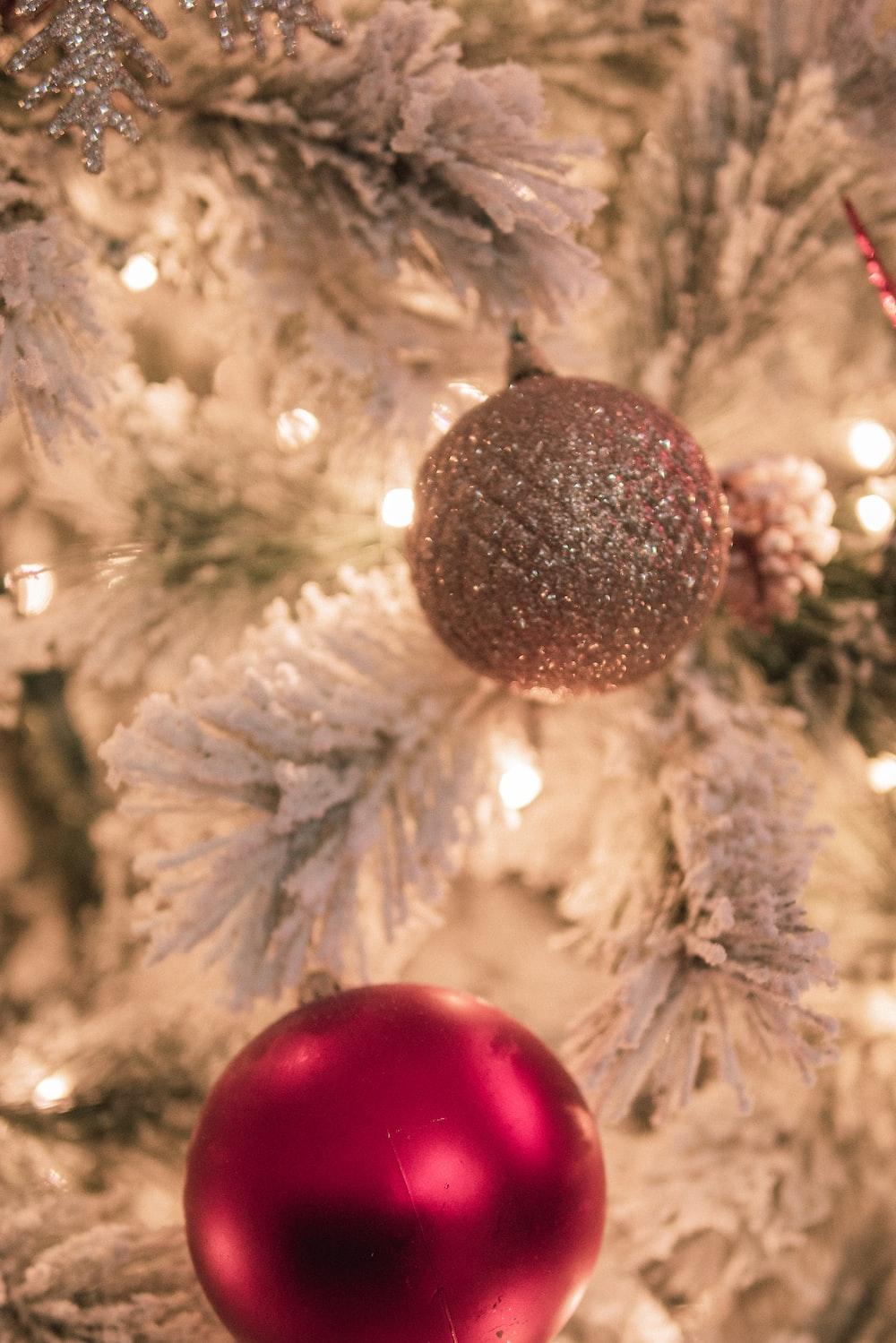 Christmas Tree Image