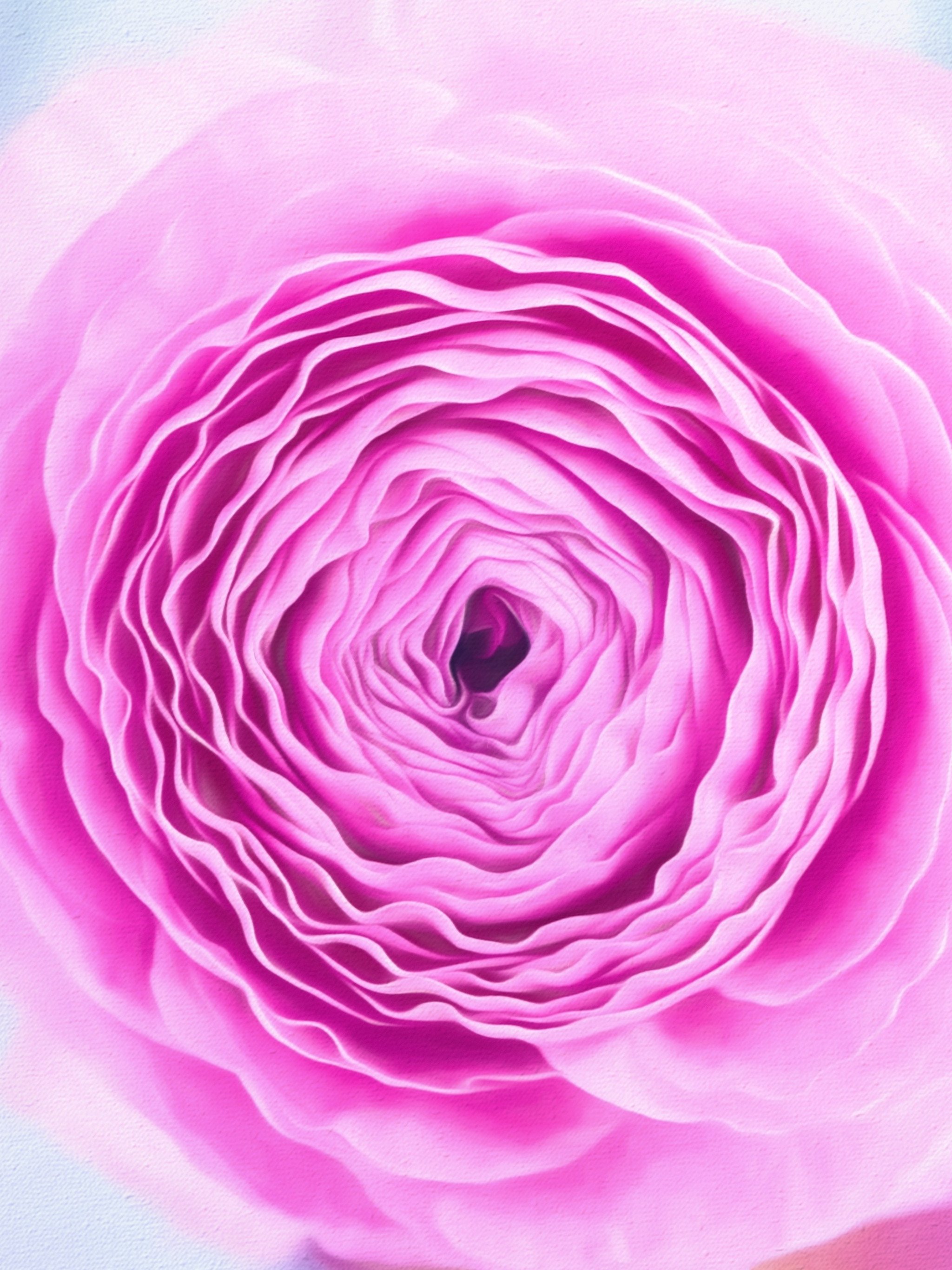 Amazing Flowers Wallpaper For Android