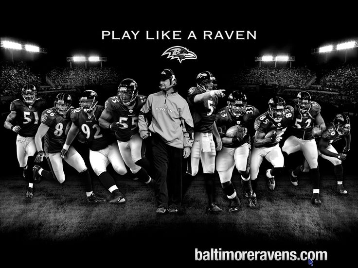 Baltimore Ravens   Play like a Raven Ravens Nation Forever Pint 736x552