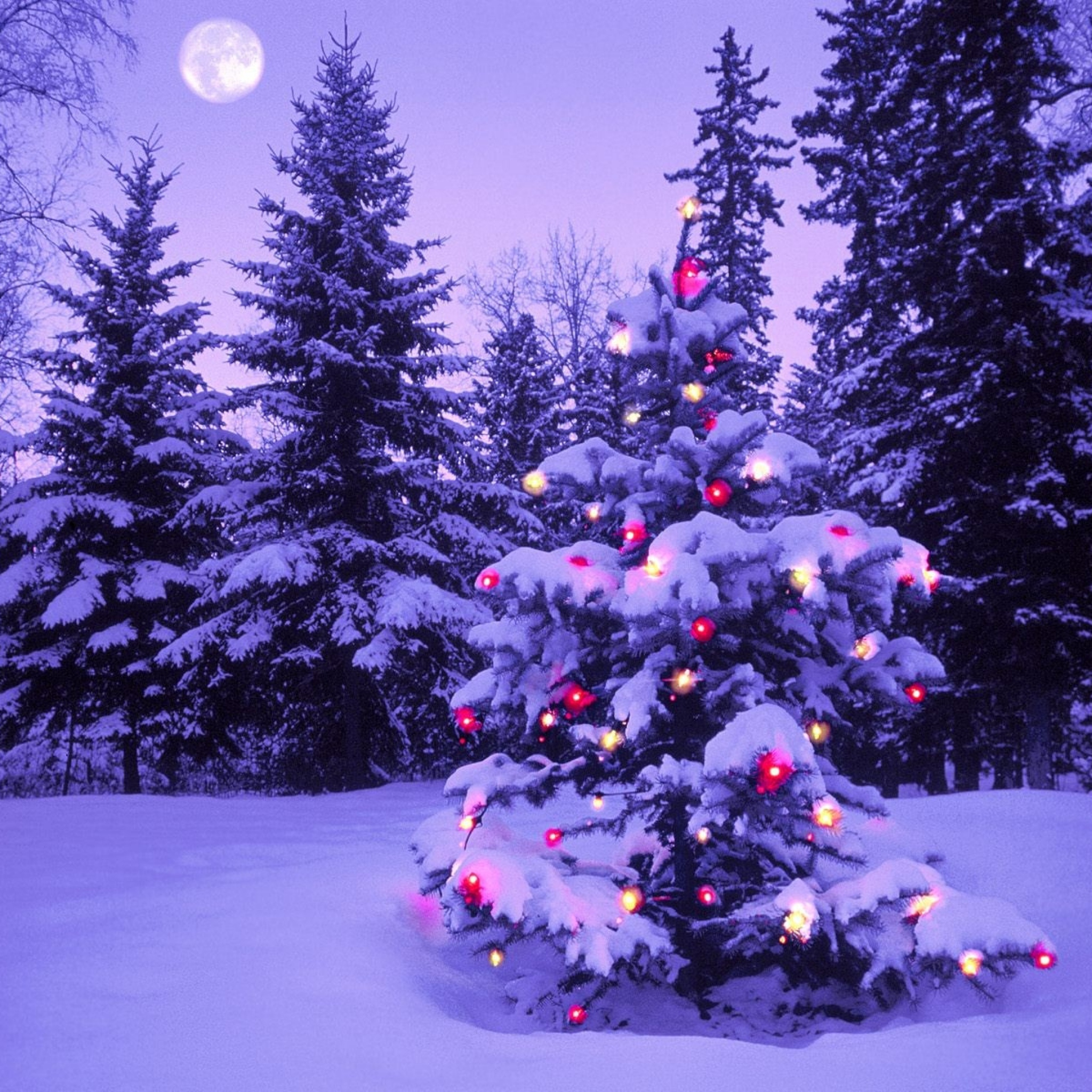 A snow-covered Christmas tree adorned with colorful lights, set against a backdrop of snow-dusted pine trees under a twilight sky with a full moon