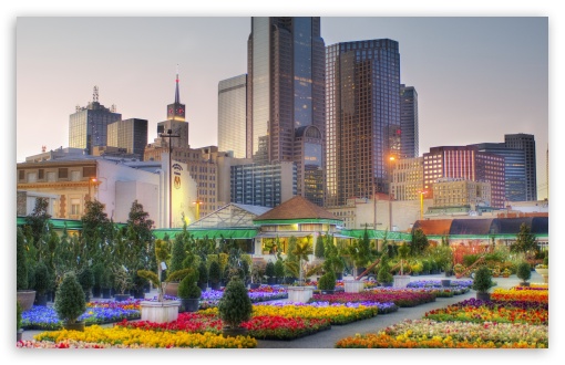 Downtown Dallas From The Flower Market HD wallpaper for Standard 43 5